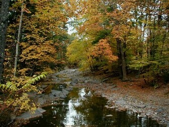 Fall Foliage Stream In Autumn Wallpaper Background For Desktop