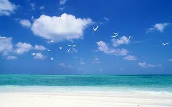 From Windows Beach Wallpaper