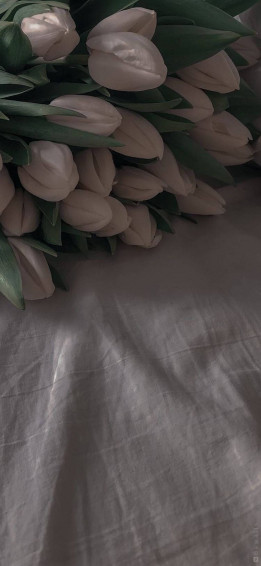 White Flower iPhone Wallpaper