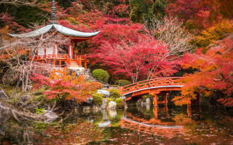 Kyoto Wallpaper