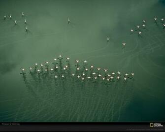 Aerial Desktop Wallpaper Photography