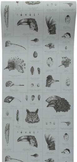 Dr Amy Jane Beer On Help Me Please Wildlifemag And