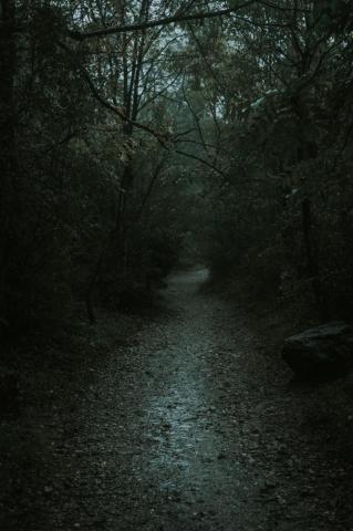 Haunted Pictures Image