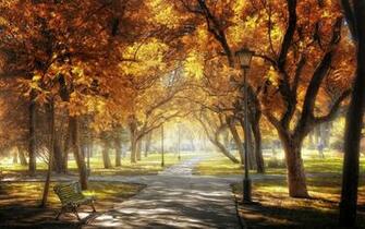 Sevilla Golden Central Park Autumn Wallpaper