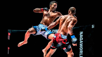 Mixed Martial Arts Wallpaper