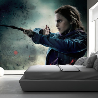 Hermione Granger Wallpaper Myindianthings