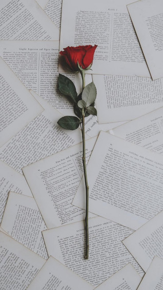 A Dozen Red Roses iPhone Wallpaper For Valentine S Day