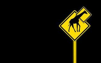 Funny Black Background Giraffes Wallpaper Humor