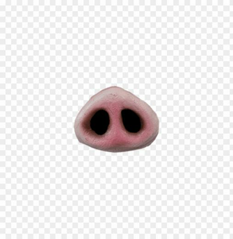 Pig Nose Png Image With Transparent Background Toppng