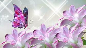 Wallpaper Butterflies And Flowers