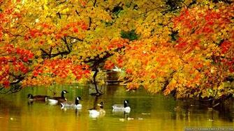 Wallpaper Autumn New York City Skyline In
