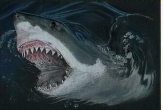White Shark Mouth Wallpaper