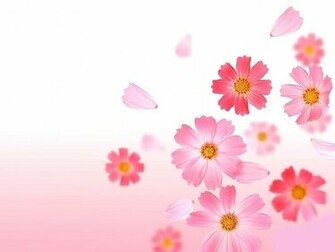 Cute Pink Flower Wallpaper Image Size