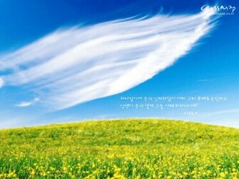 Christian Bible Verses Wall Wallpaper Full HD