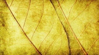 Yellow Desktop Background Wallpaper High Definition Quality