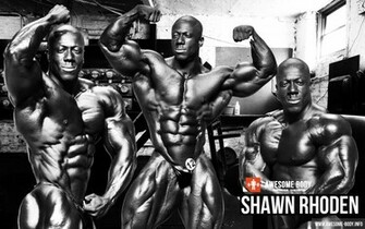 Body Building HD Wallpaper