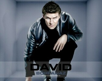 David Boreanaz Wallpaper