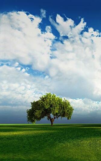 Large Background Desktop Vertical Wallpaper For Portrait