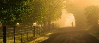 Walking Into The Mist Jpg