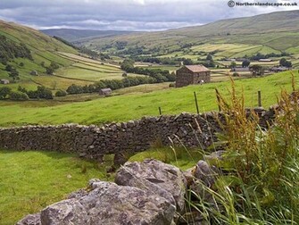 English Countryside Wallpaper