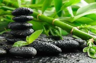 Zen Nature Wallpaper