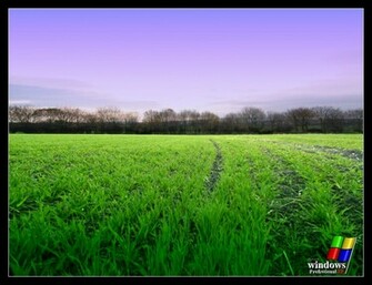 Windows Xp Pro Wallpaper Stock Photos