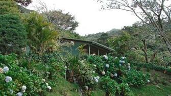 Cloud Forest Lodge Monteverde A Kuoni Hotel In La Fortuna