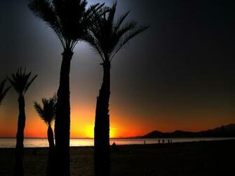 Beach At Night HD Wallpaper High Quality