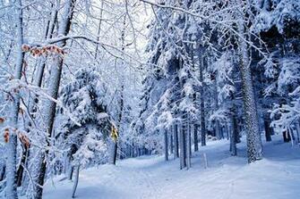 Desktop Nexus Winter Wallpaper Image Crazygallery Info