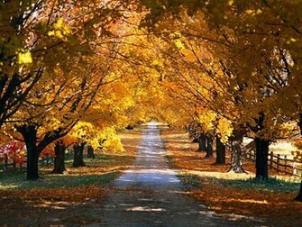 Fall Wallpaper For Desktop Html Filesize 495k