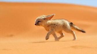 Desktop Moroccan Wallpaper Net