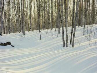 More And Wallpaper Winter Scenes