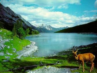 Nature Wallpaper Blue Lake