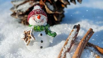 Wallpaper Snowman Snow Cinnamon Pine Cone