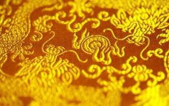Longhorn Embroidery Design Machine S Designs
