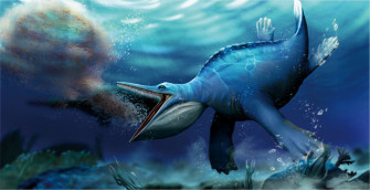 Long Before Whales Pioneering Marine Reptile Was A Filter Feeder