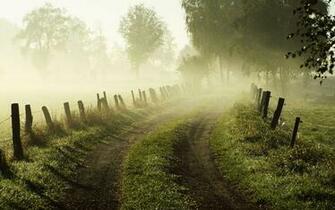 Tag Early Morning Fog Wallpaper Background Photos Image And