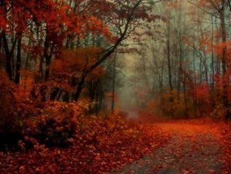 Autumn Wallpaper For Mac Weddingdressin