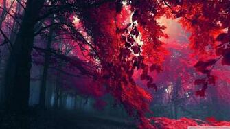 X Theme Full HD Widescreen Type Wallpaper For