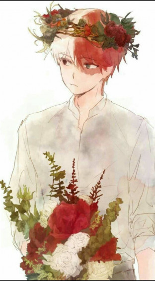 Todoroki Cute Picture Wallpaper