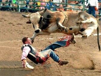 Cool Bull Riding Wallpaper Dangerous Top
