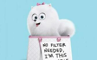 Gid Get The Secret Life Of Pets Click To