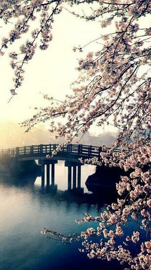 iPhone Wallpaper Spring 3d