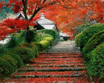 Nature Scenes Wallpaper Pictures Pics