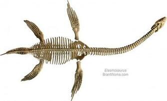 Dinosaur Skeleton Brantworks Scale Model S