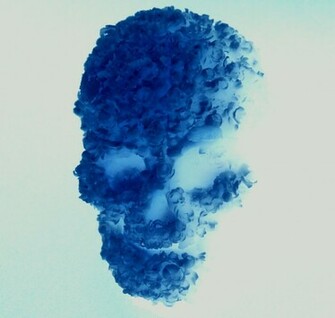 Blue Skull Photos HD Wallpaper Pics