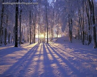 Soothing Peace Of Mind Pictures Serene Calming Wallpaper