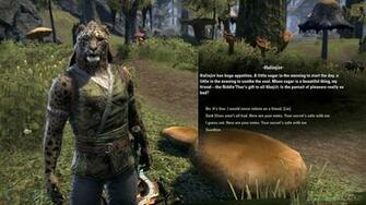 Eso Morrowind Launch Day Impressions Mmohuts