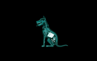 Funny Wallpaper Picture HD Xray Box