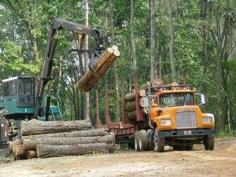 Logging Wallpaper High Quality